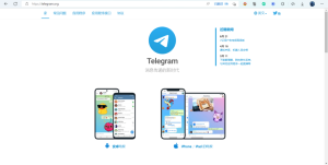 Telegram怎么搜索公开频道？
