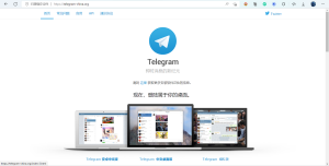 Telegram创始人为什么被捕？
